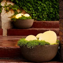 High Quality IP65 Waterproof Solar LED Garden Lights with 50000 Hours Lifespan for Outdoor Street and Balloon Decor